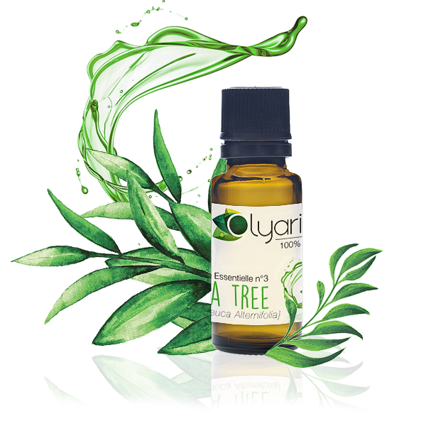 Olyaris : Huiles Essentielles Anti-Poux > HE Tea Tree